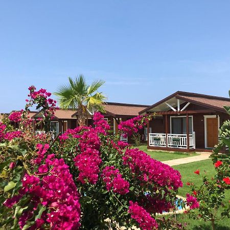 Sedir Park - Beach Bungalow Kargicak (Alanya) Exterior foto