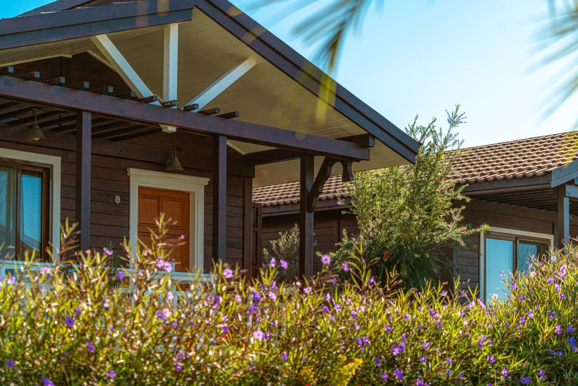 Sedir Park - Beach Bungalow Kargicak (Alanya) Exterior foto
