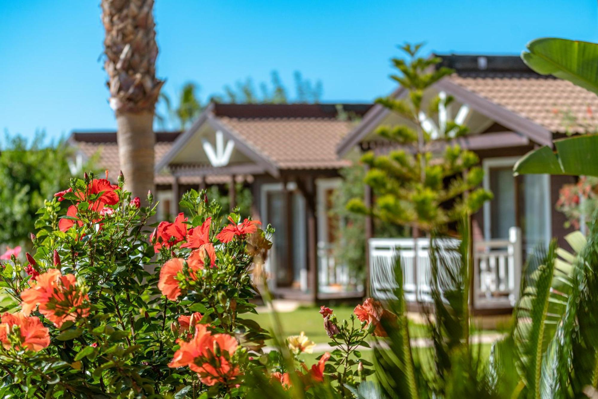Sedir Park - Beach Bungalow Kargicak (Alanya) Exterior foto