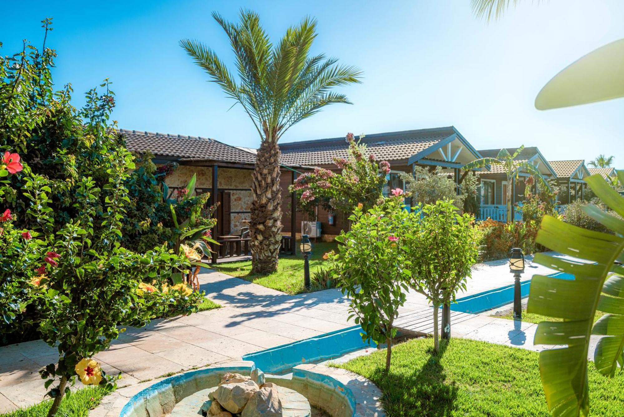 Sedir Park - Beach Bungalow Kargicak (Alanya) Exterior foto