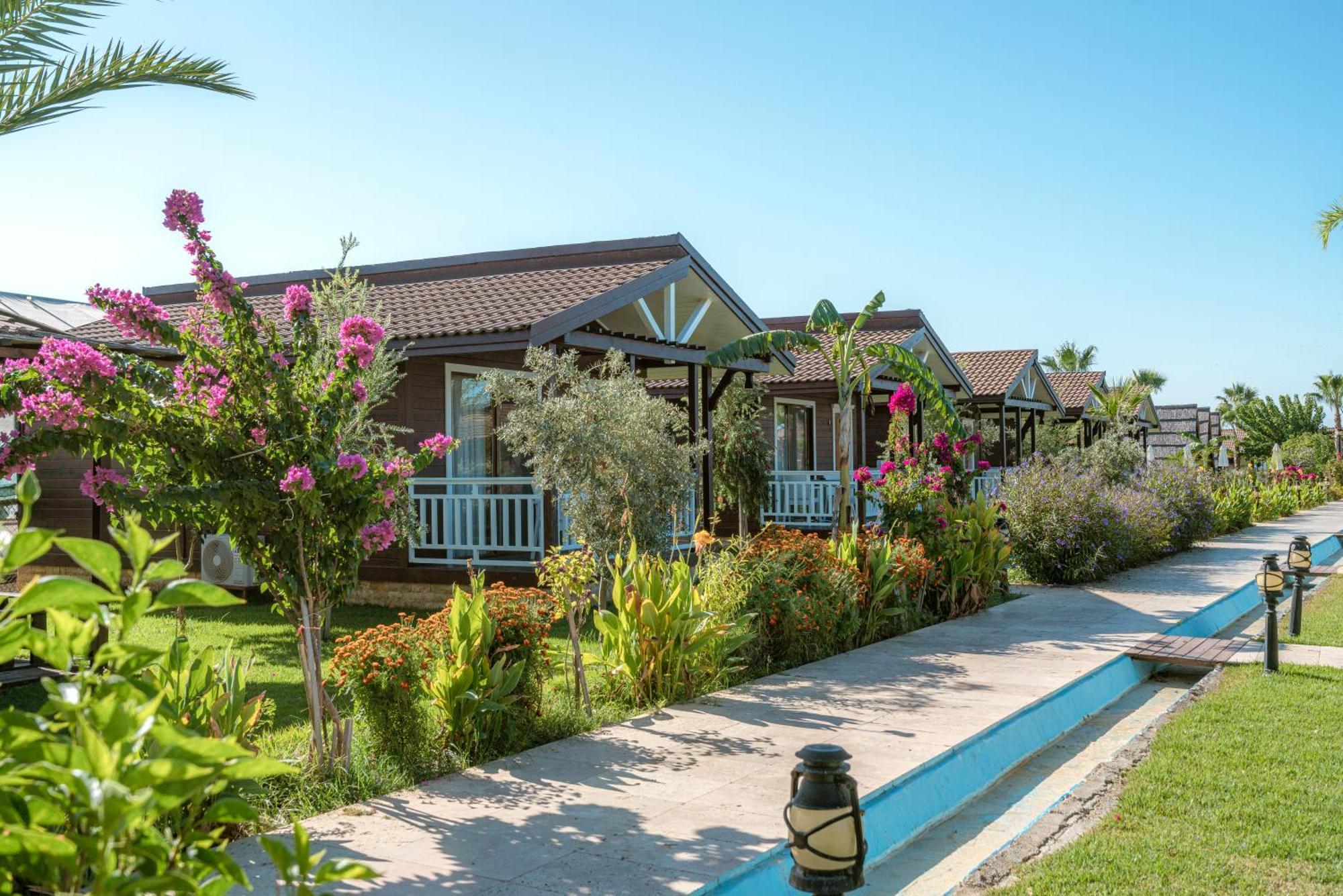 Sedir Park - Beach Bungalow Kargicak (Alanya) Exterior foto