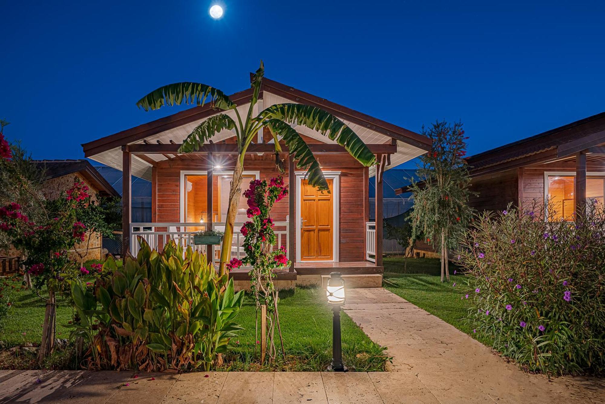 Sedir Park - Beach Bungalow Kargicak (Alanya) Exterior foto