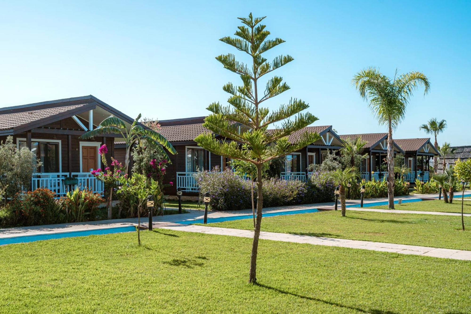 Sedir Park - Beach Bungalow Kargicak (Alanya) Exterior foto